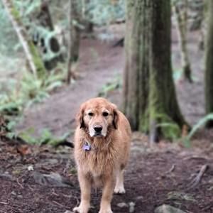 Meet your Posher, Patricia